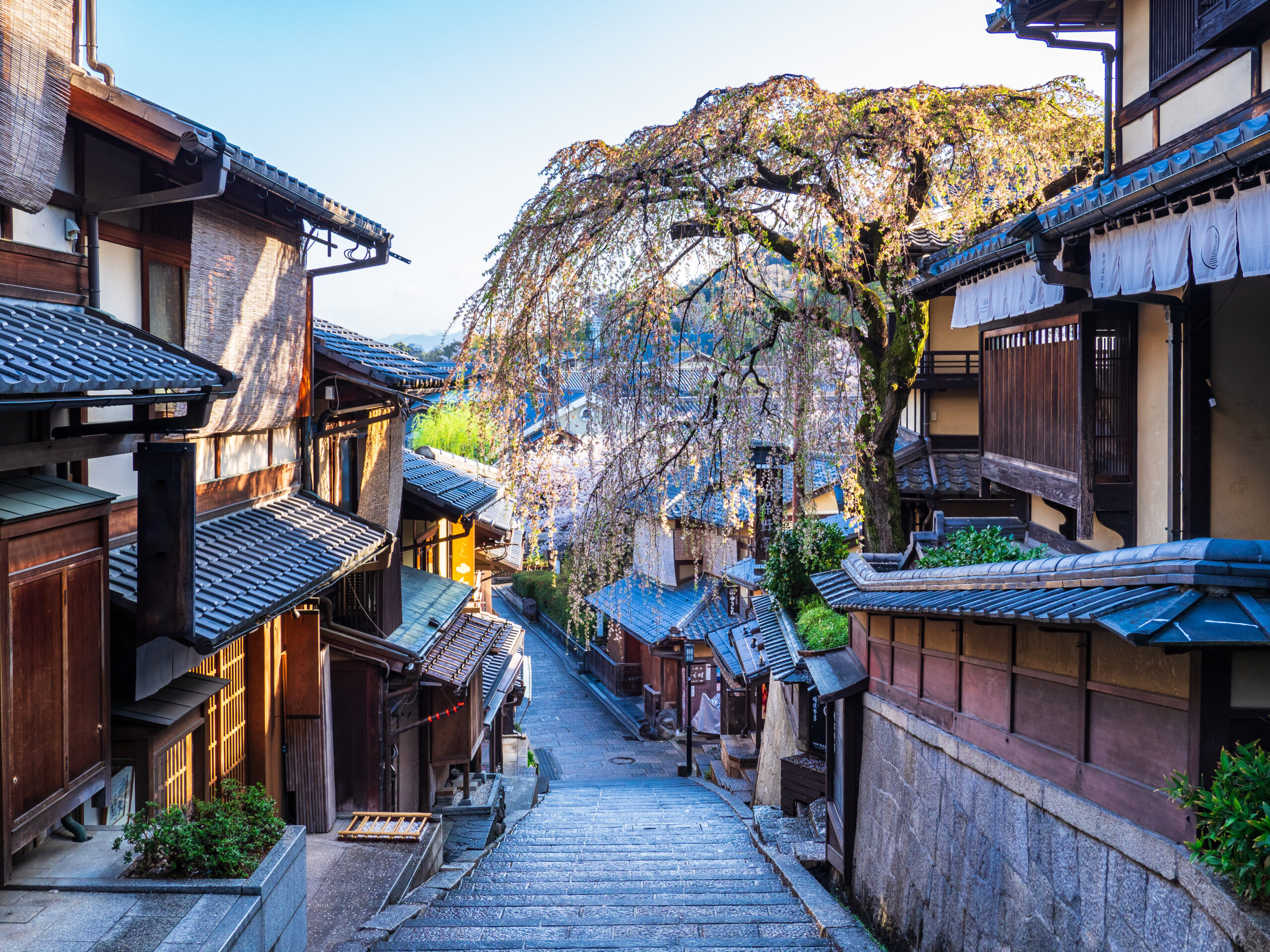 Kyoto Teramachi Area